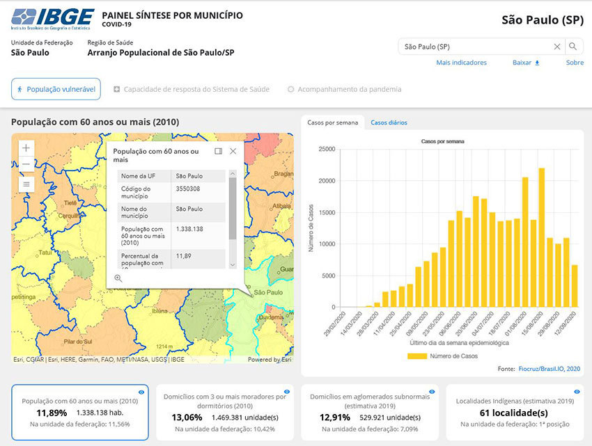 IBGE Lança Painel Interativo Com 24 Indicadores Para Combater Covid ...
