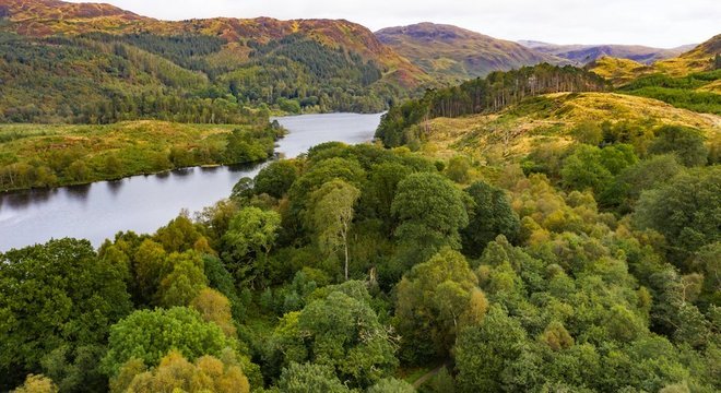 Há milhões de vírus desconhecidos no mundo que a ciência só agora está começando a descobrir