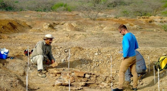 Um dos fósseis foi encontrado pelos paleontologistas na região de Urumaco, na Venezuela