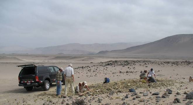 O fóssil foi encontrado nas rochas de Yumaque, na área desértica em frente à Praia Media Luna, na costa sul do Peru