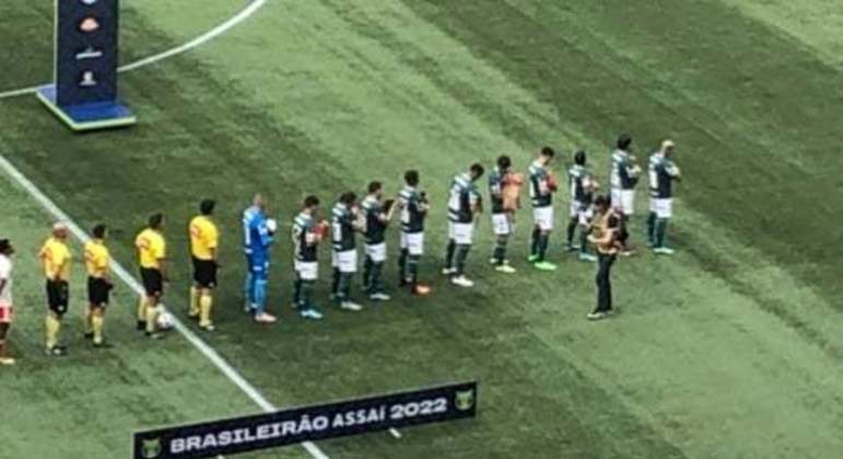 Palmeiras - Allianz Parque - adoção de animais