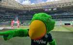É o periquito! O mascote do Verdão também está em campo para animar a torcida e apoiar o Palmeiras