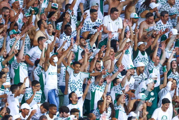 Palmeiras, torcida palmeiras, mancha verde