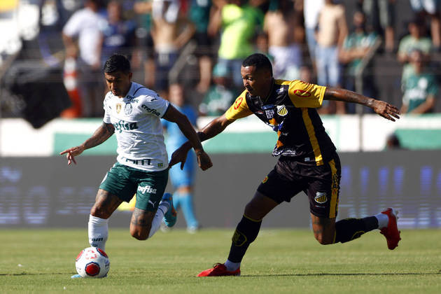 Gols e Melhores momentos de Novorizontino x Palmeiras (0-2)