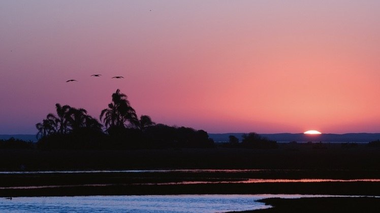 Cerrado, Mata Atlântica, mares, rios e montanhas interagem em paisagens fantásticas que precisam ser preservadas a cada dia (na foto, a Lagoa do Peixe, Pampa)