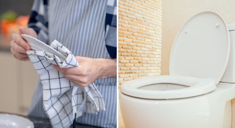 Principal coliforme fecal encontrado nos panos foi a bactéria E. coli