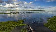 Turismo no Pantanal: saiba tudo sobre esse destino fantástico