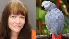 Mulher embriagada mata papagaio de estimação a tiros durante discussão com o marido
