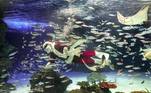 Papai Noel aquário Japão