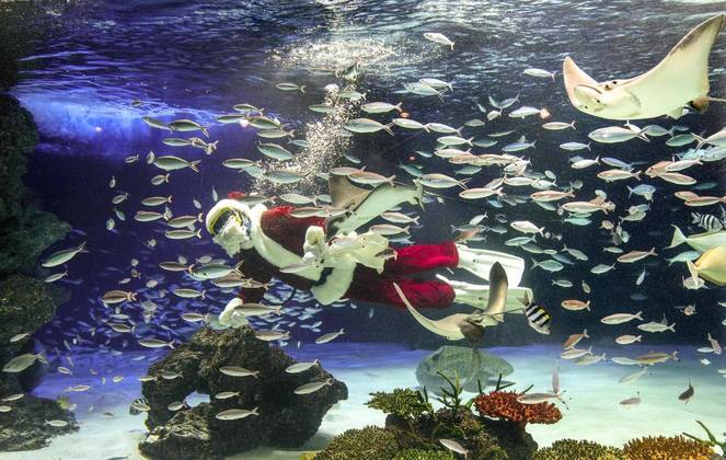 Papai Noel aquário Japão