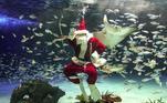 Papai Noel aquário Japão