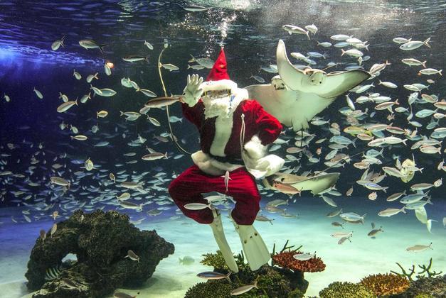 Papai Noel aquário Japão