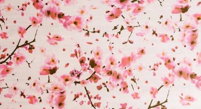 papel de parede para quarto infantil feminino com estampa floral Foto Kim Pearson