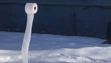 Rolo de papel higiênico vira obra de arte com ajuda de frio extremo