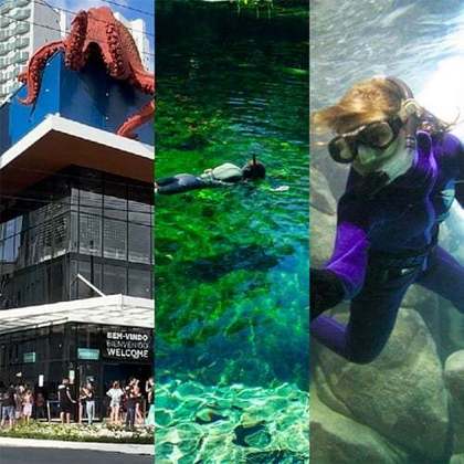 Para continuar no tema em grande estilo, confira agora os 10 melhores aquários do Brasil!