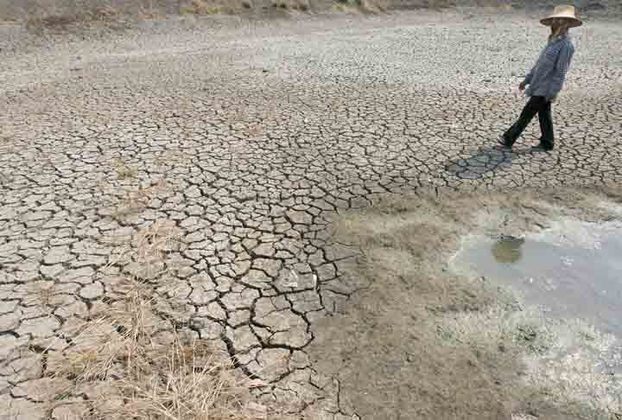 Para o ano passado, Vanga alertou para a escassez de água devido às secas. 