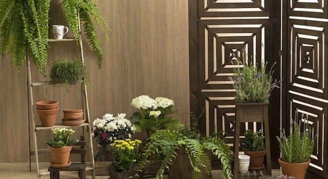 Para varanda inclua uma estante escada para as plantas