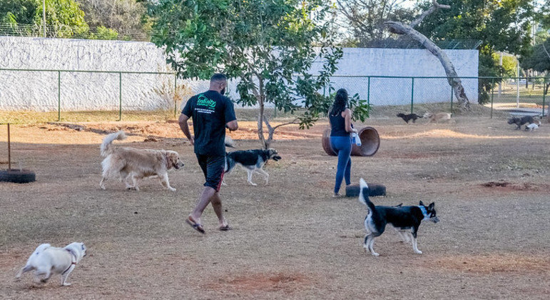 Homem e mulher brincam com cachorros em parque criado para animais