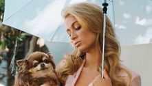 Paris Hilton lamenta morte de sua cachorra, mas idade do animal impressiona os seguidores