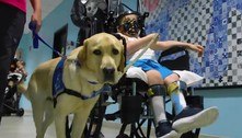 Labrador se torna o novo assistente de hospital pediátrico e alegra crianças nos Estados Unidos