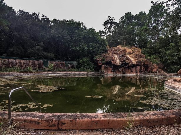 Assustador Parque Abandonado Da Disney Se Tornou Local Macabro Fotos R7 Hora 7 - jogo roblox paque aquático