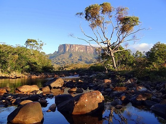 Parque Nacional do Monte Roraima, Roraima