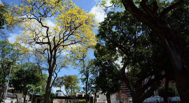 Parque Solon de Lucena