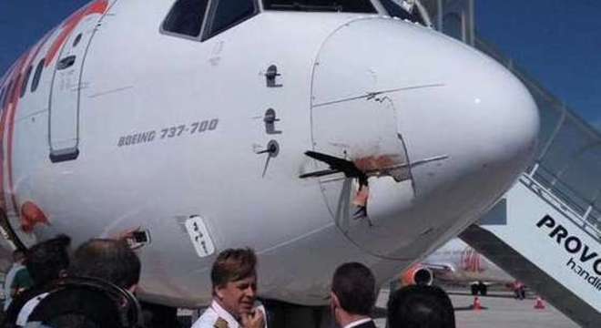 Foto mostra restos de uma ave presa em um Boeing  no aeroporto Santos Dumont (RJ)