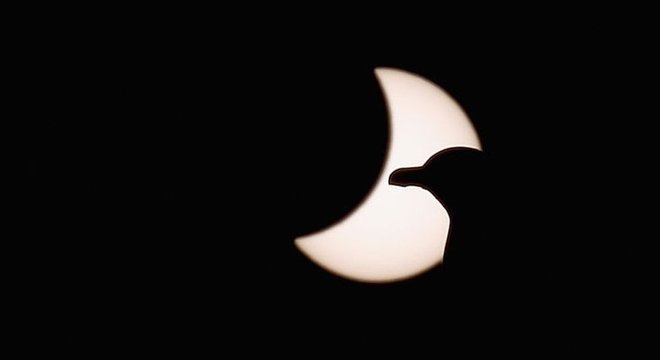 Durante os eclipses solares totais, as aves diurnas saem em busca do ninho, enquanto as noturnas entram em atividade