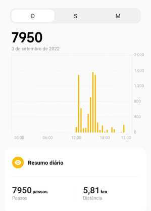 Exemplo de relatório de contador de passos
