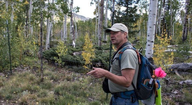 Paul Rogers se dedica a monitorar a vida do Pando