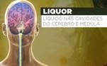 Um dos primeiros exames identificou alterações no liquor (líquido nas cavidades do cérebro e medula espinhal). Isso reforça que ela tenha morrido com uma infecção