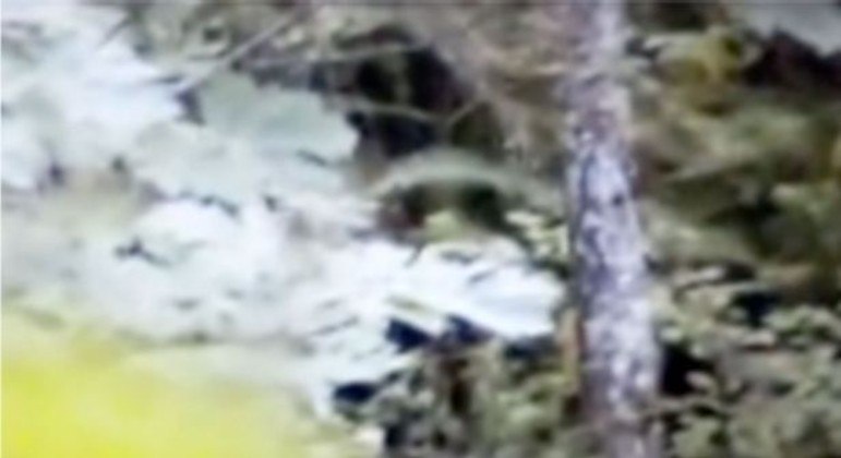 De acordo com o autor do registro acima, há um Pé-grande no centro da imagem