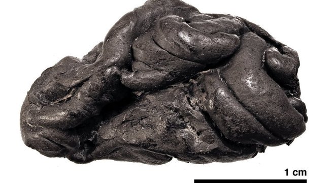 Pedaço de cola de bétula de 5.700 anos de Syltholm, sul da Dinamarca