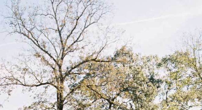 Pedra mineira para piscina na área da churrasqueira