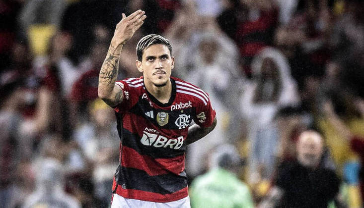 4. Polêmica extracampo O nome do Flamengo teve uma repercussão negativa nos noticiários. Em julho, Pedro foi agredido com um soco no rosto pelo preparador físico Pablo Fernández, que foi afastado do cargo
