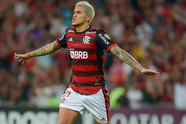 18º Pedro (Flamengo)Gols: 8