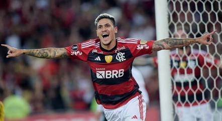 Pedro é o artilheiro do Flamengo em 2023