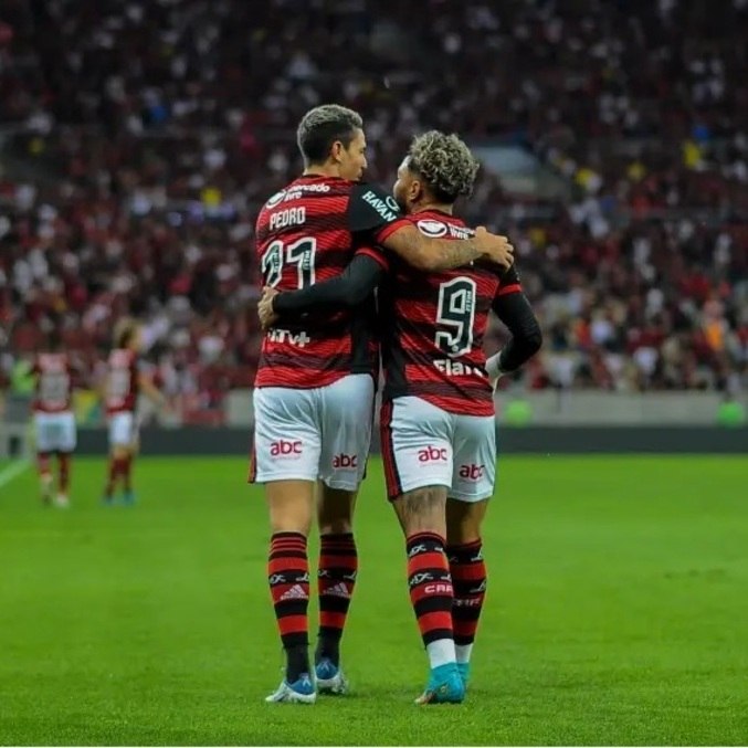 Pedro e Gabi comemoram gol do Flamengo