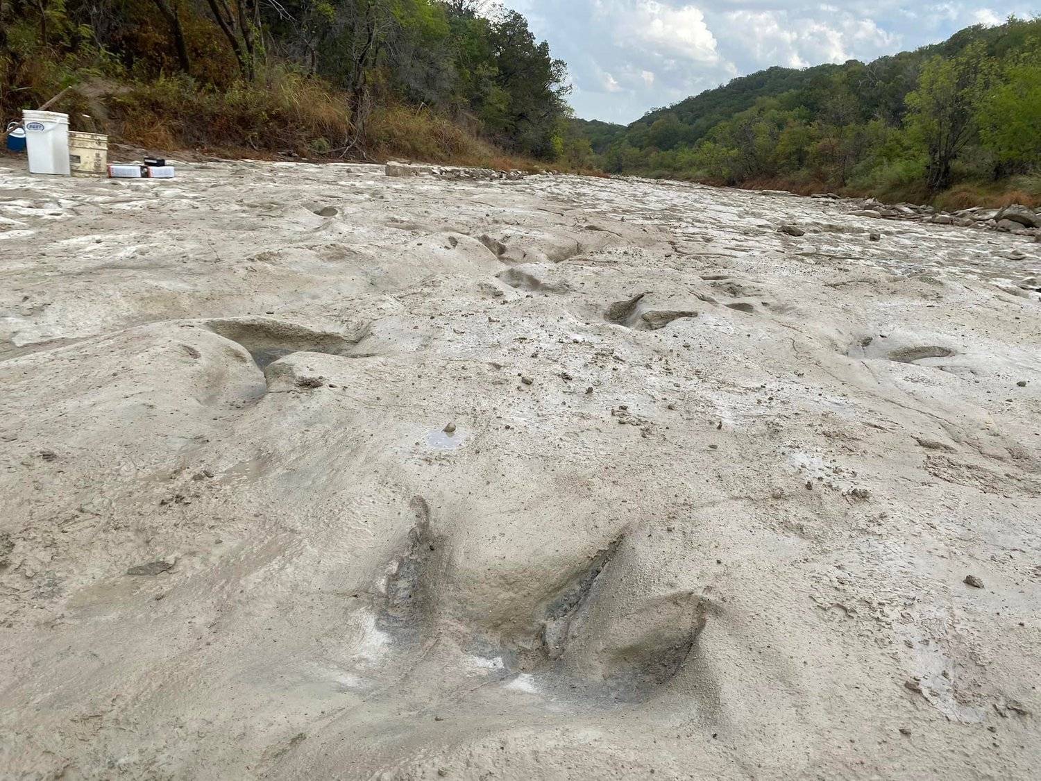 Pegadas de dinossauro de 113 milhões de anos são descobertas após seca nos  EUA - Canaltech