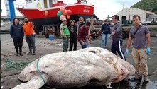 Maior peixe ósseo de todos os tempos é encontrado em Portugal