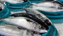 Surto de doença ligada ao consumo de peixe é investigado em 2 estados