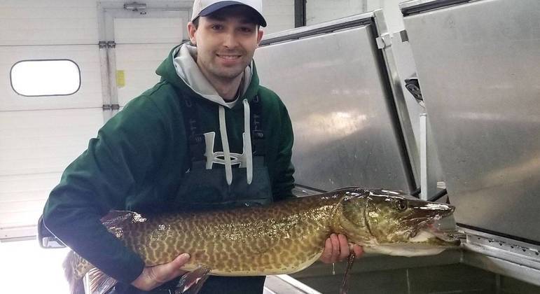 A almiscarada não parece muito feliz após a captura (e por estar fora da água, sem respirar)