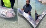 Um 'peixe do fim do mundo' foi encontrado na Baía de Pichilingue, no México, deixando a população local alarmada