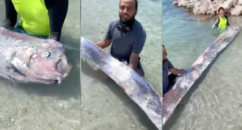 Um 'peixe do fim do mundo' foi encontrado na Baía de Pichilingue, no México, deixando a população local alarmada