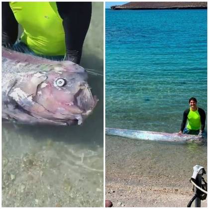 A dupla compartilhou um registro com o peixão no Twitter, onde internautas não deram bola para a ciência e reforçaram a lenda ao redor do bicho: 'Esses peixes só vêm à superfície quando algo muito ruim está para acontecer', apontou um internauta. 'É azar para quem os encontra', concluiu outroRelembre aparições anteriores do 'peixe do fim do mundo' nas imagens a seguir!