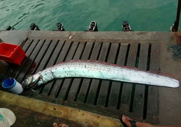 Na época, um terremoto causou um desastre nuclear em Fukushima e um tsunami posterior matou 20 mil pessoas<br><br><b>VALE SEU CLIQUE:&nbsp;<a href="http://noticias.r7.com/hora-7/fotos/japones-com-fetiche-em-cheirar-sapatos-e-preso-com-70-pares-12022019" title="Japonês com fetiche em cheirar sapatos é preso com 70 pares" target="_self">Japonês com fetiche em cheirar sapatos é preso com 70 pares</a></b>