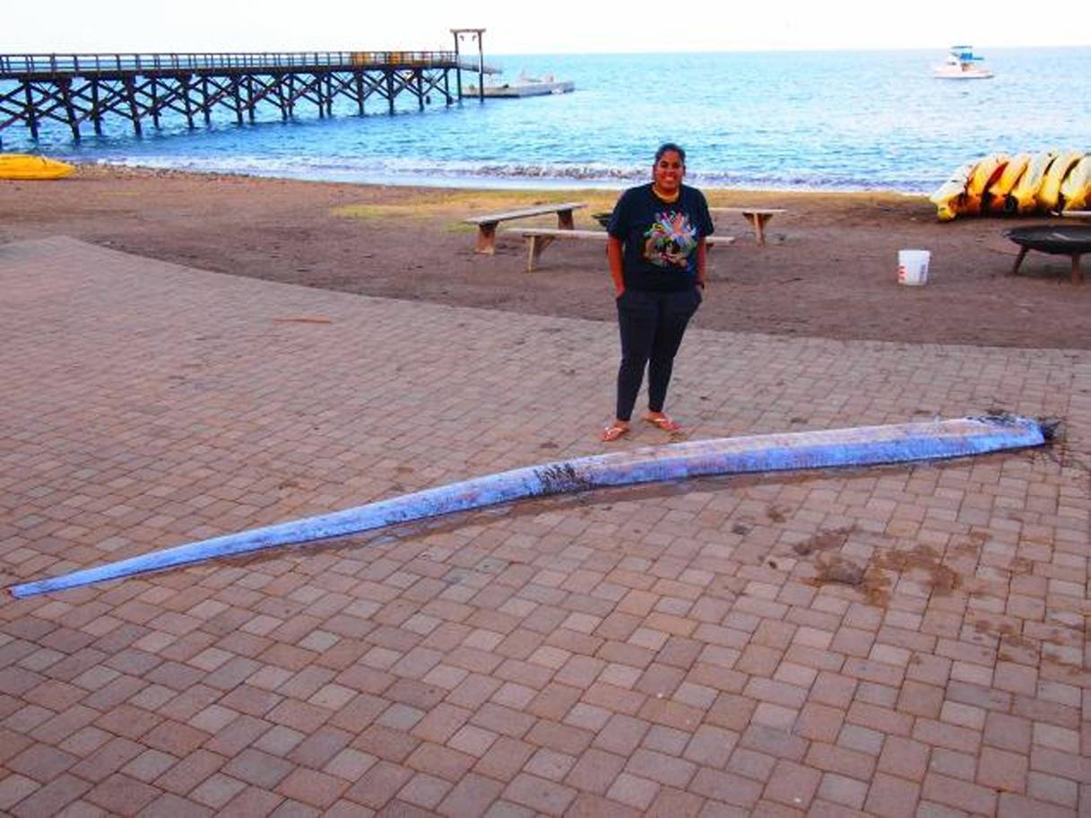 A história da ligação deles com terremotos começou no Japão, em 2011