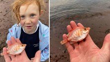 Peixinho das profundezas é achado em praia e intriga pesquisador