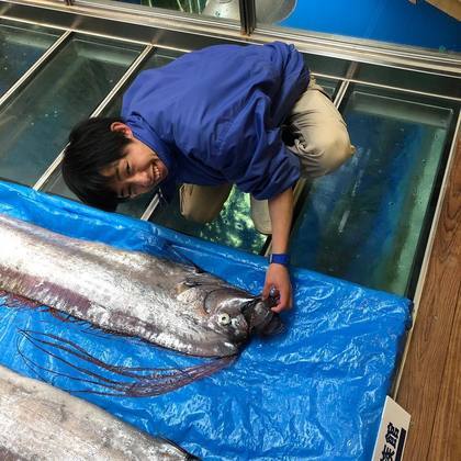 peixe japão